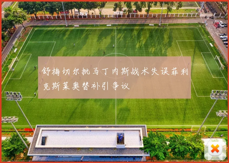 舒梅切尔批马丁内斯战术失误菲利克斯莱奥替补引争议