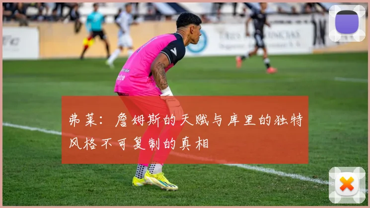 弗莱：詹姆斯的天赋与库里的独特风格不可复制的真相