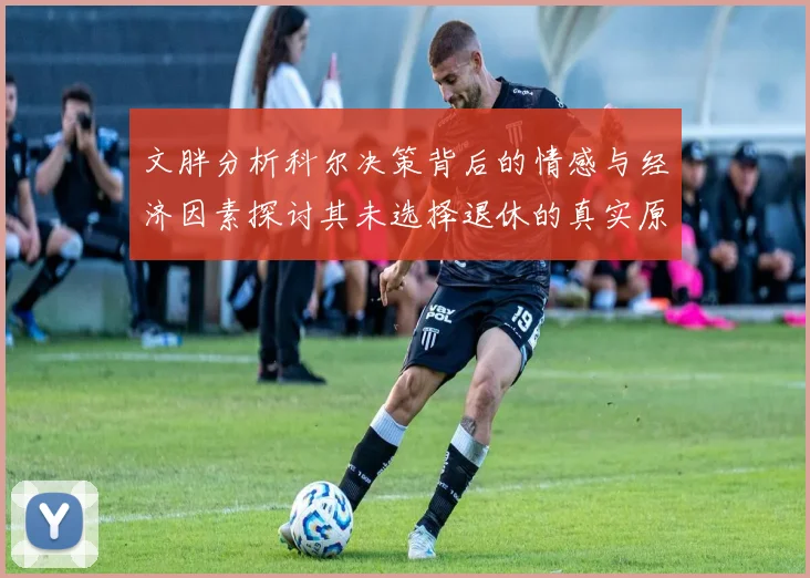 文胖分析科尔决策背后的情感与经济因素探讨其未选择退休的真实原因